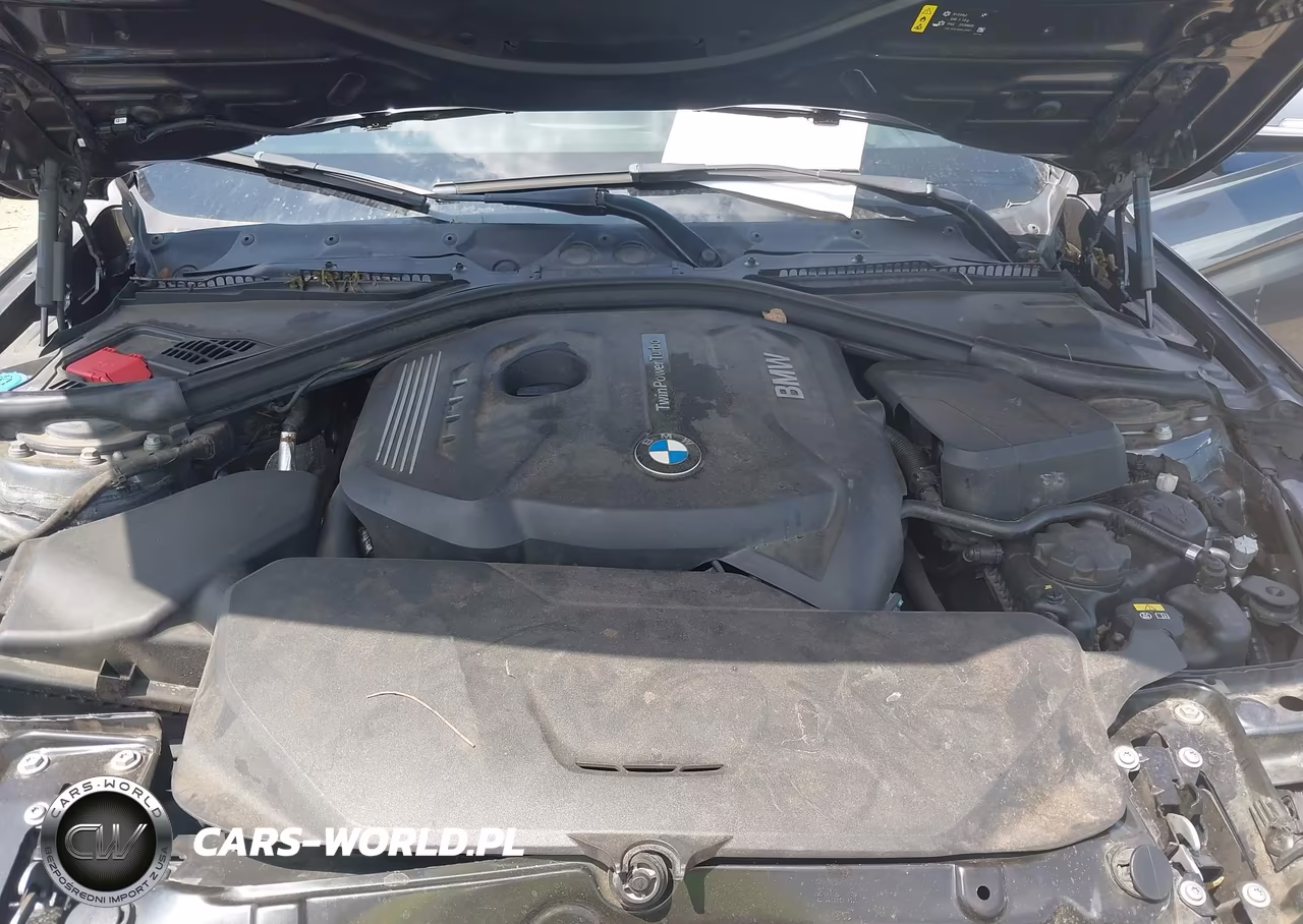 2018 BMW 330I VIN:WBA8B9G55JNU96594 - 10