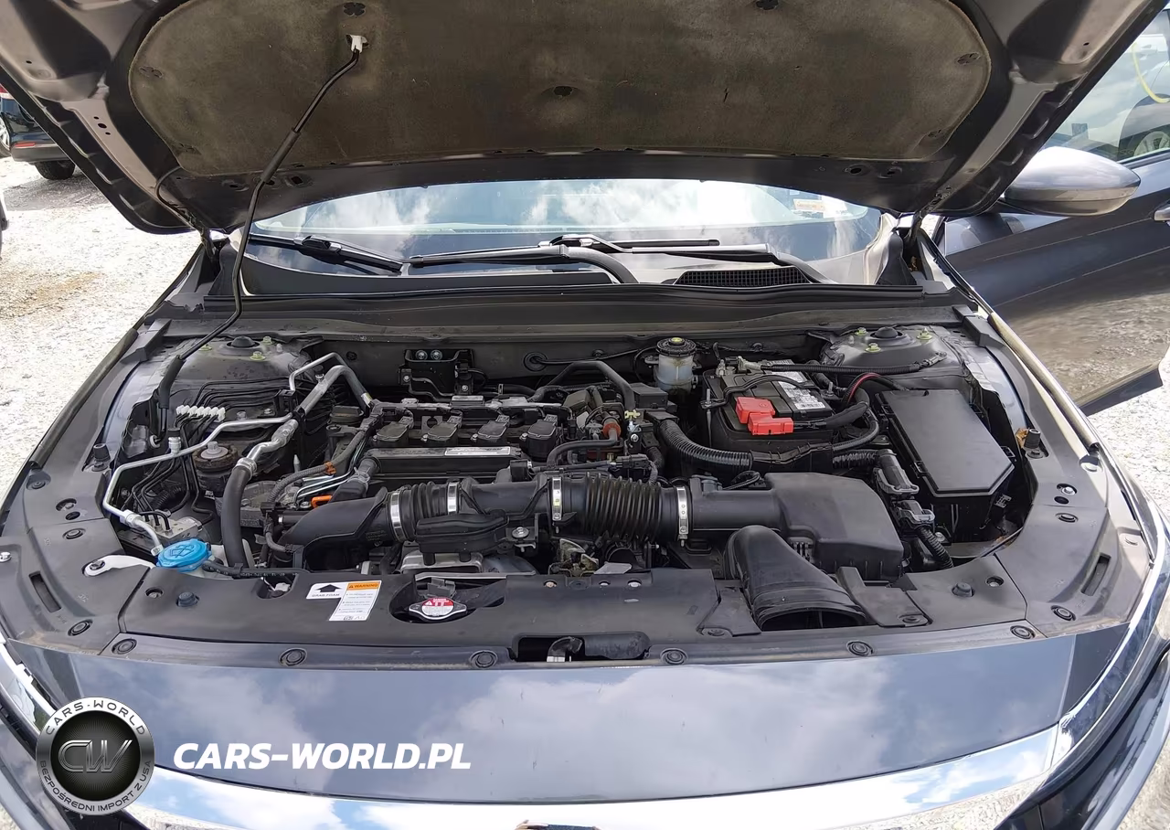 2020 Honda Accord Lx VIN:1HGCV1F1XLA114396 - 10