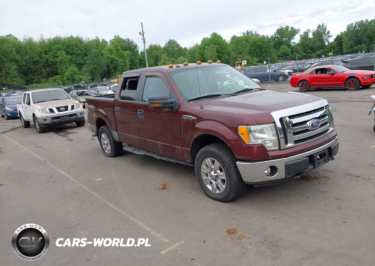 2010 Ford F-150 Fx4-Harley-Davidson-King Ranch-Lariat-Platinum-Xl-Xlt
