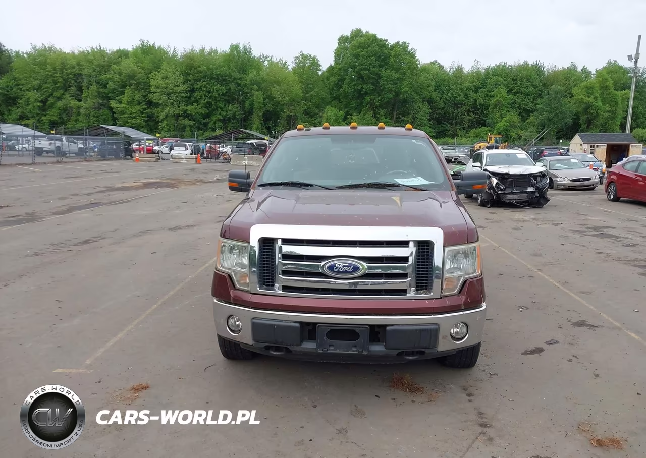 2010 Ford F-150 Fx4-Harley-Davidson-King Ranch-Lariat-Platinum-Xl-Xlt VIN:1FTFW1EV6AFA36521 - 12