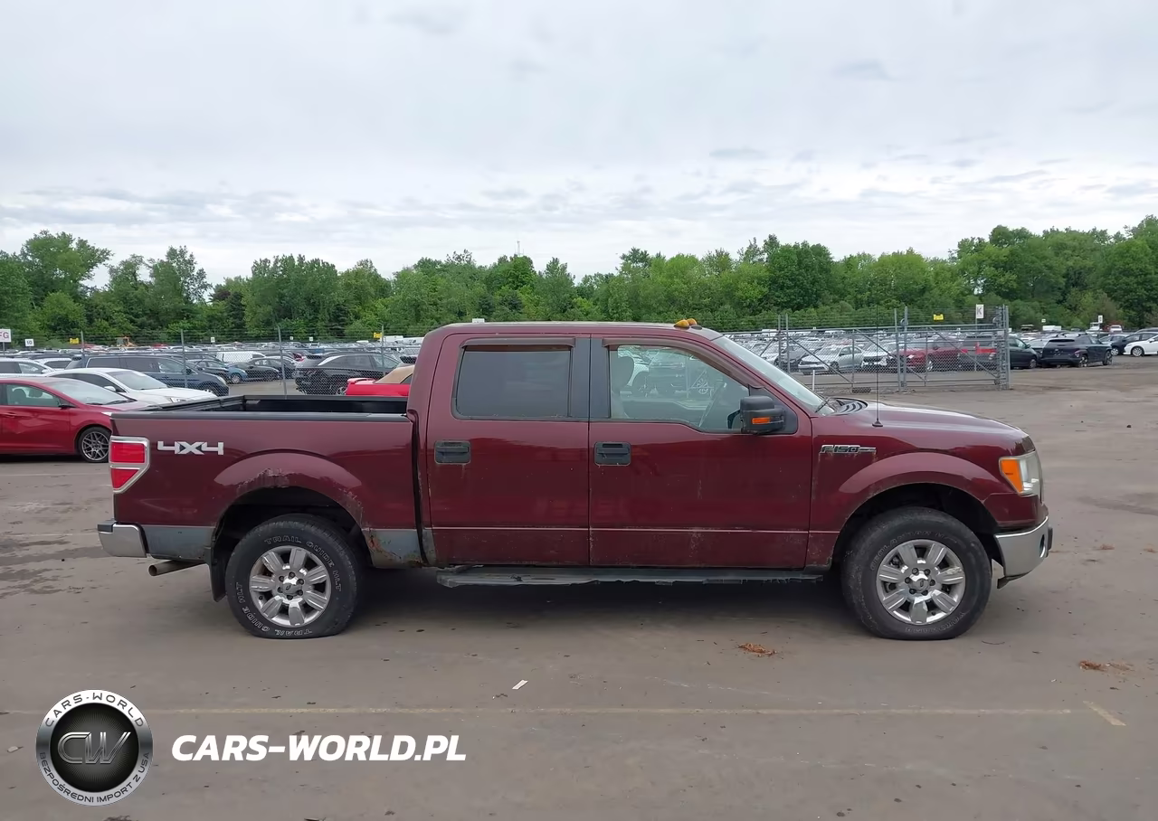 2010 Ford F-150 Fx4-Harley-Davidson-King Ranch-Lariat-Platinum-Xl-Xlt VIN:1FTFW1EV6AFA36521 - 13