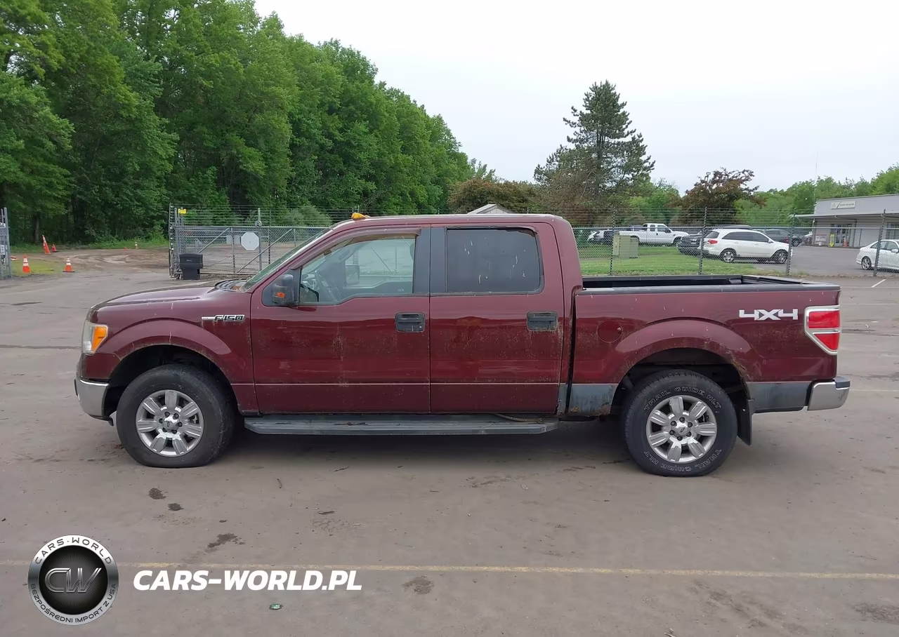 2010 Ford F-150 Fx4-Harley-Davidson-King Ranch-Lariat-Platinum-Xl-Xlt VIN:1FTFW1EV6AFA36521 - 14