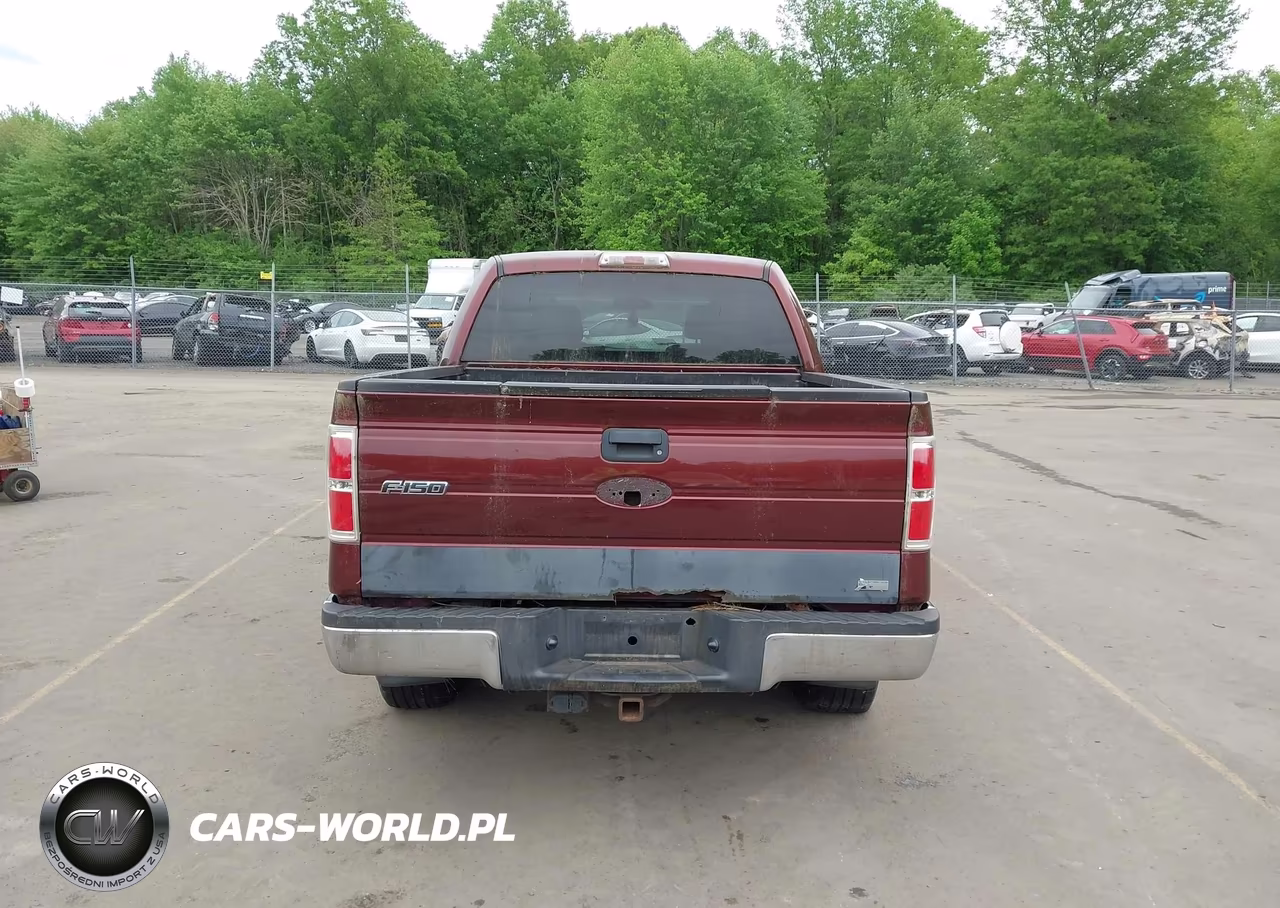 2010 Ford F-150 Fx4-Harley-Davidson-King Ranch-Lariat-Platinum-Xl-Xlt VIN:1FTFW1EV6AFA36521 - 16