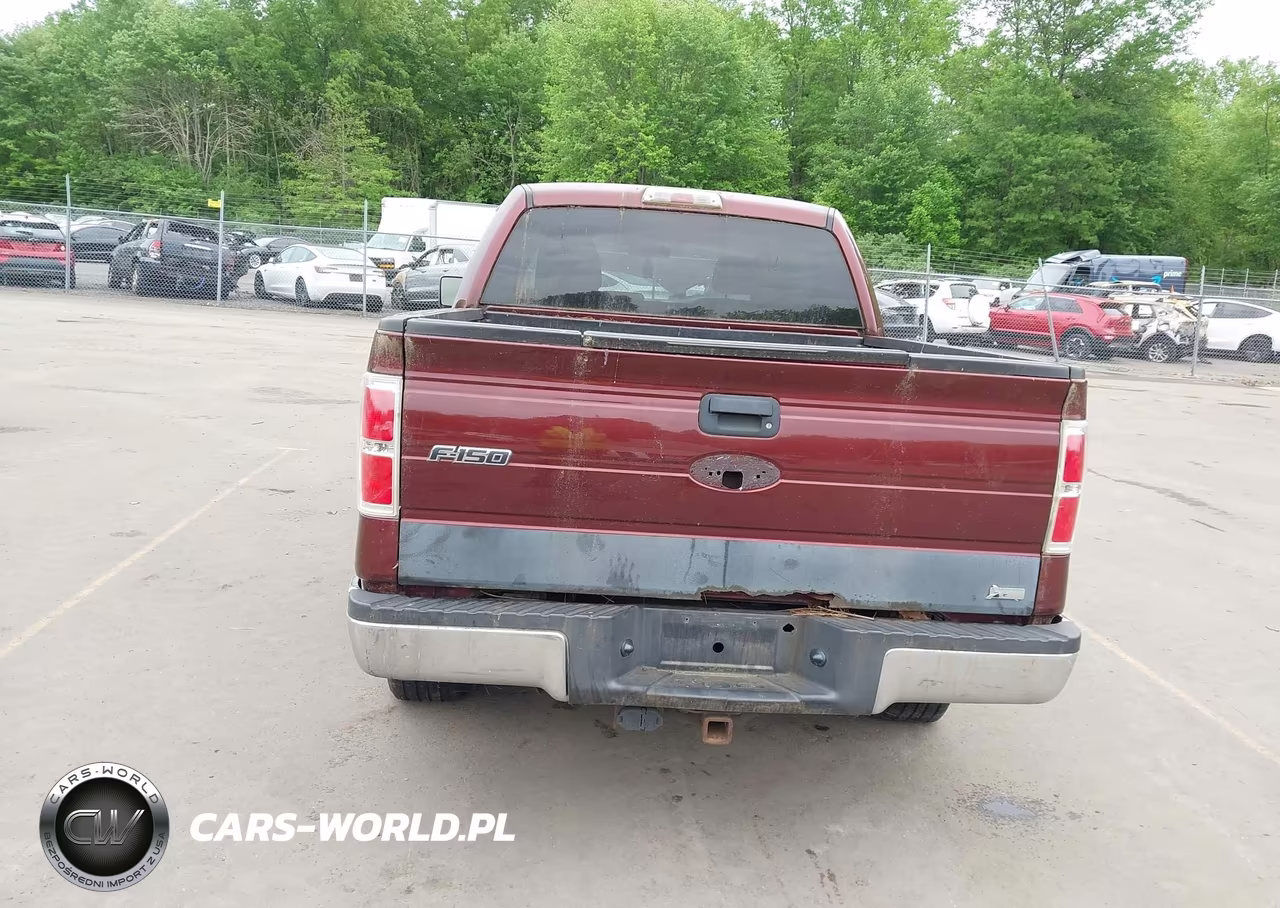 2010 Ford F-150 Fx4-Harley-Davidson-King Ranch-Lariat-Platinum-Xl-Xlt VIN:1FTFW1EV6AFA36521 - 17