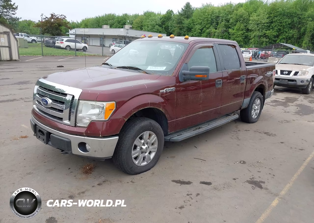 2010 Ford F-150 Fx4-Harley-Davidson-King Ranch-Lariat-Platinum-Xl-Xlt VIN:1FTFW1EV6AFA36521 - 2