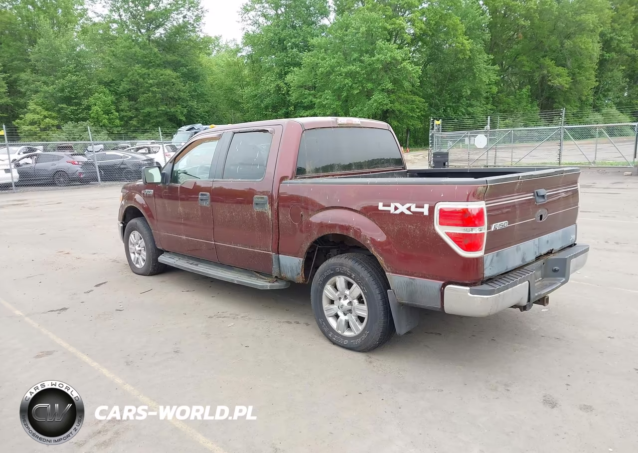 2010 Ford F-150 Fx4-Harley-Davidson-King Ranch-Lariat-Platinum-Xl-Xlt VIN:1FTFW1EV6AFA36521 - 3