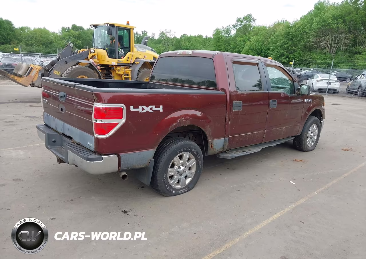 2010 Ford F-150 Fx4-Harley-Davidson-King Ranch-Lariat-Platinum-Xl-Xlt VIN:1FTFW1EV6AFA36521 - 4