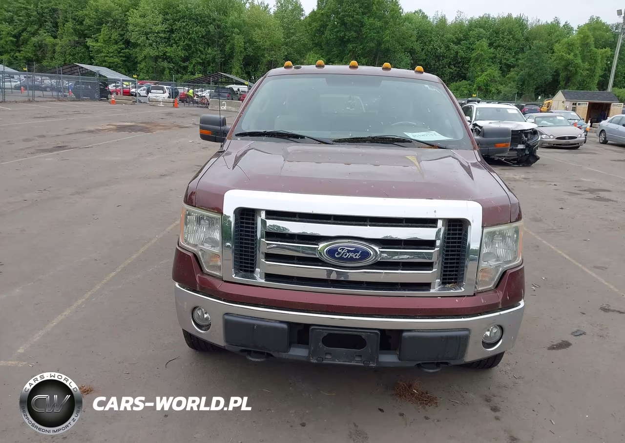 2010 Ford F-150 Fx4-Harley-Davidson-King Ranch-Lariat-Platinum-Xl-Xlt VIN:1FTFW1EV6AFA36521 - 6