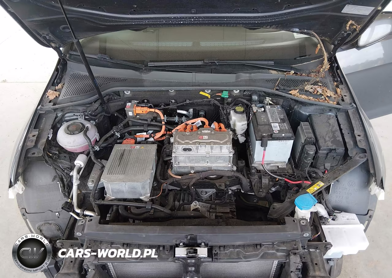 2019 Volkswagen E-Golf Se VIN:WVWKR7AU8KW919236 - 10