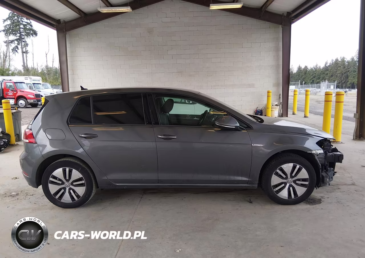 2019 Volkswagen E-Golf Se VIN:WVWKR7AU8KW919236 - 14