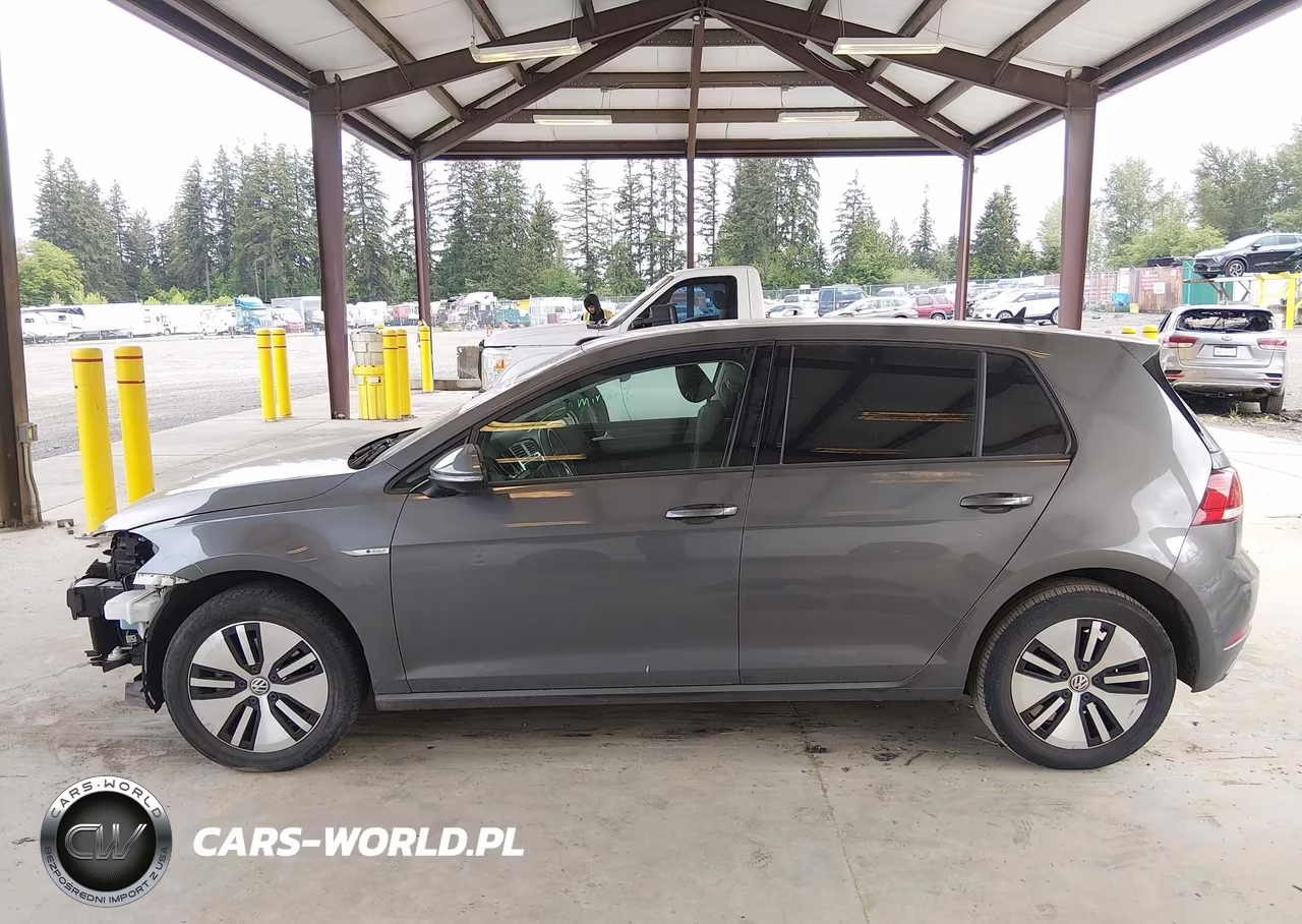 2019 Volkswagen E-Golf Se VIN:WVWKR7AU8KW919236 - 15