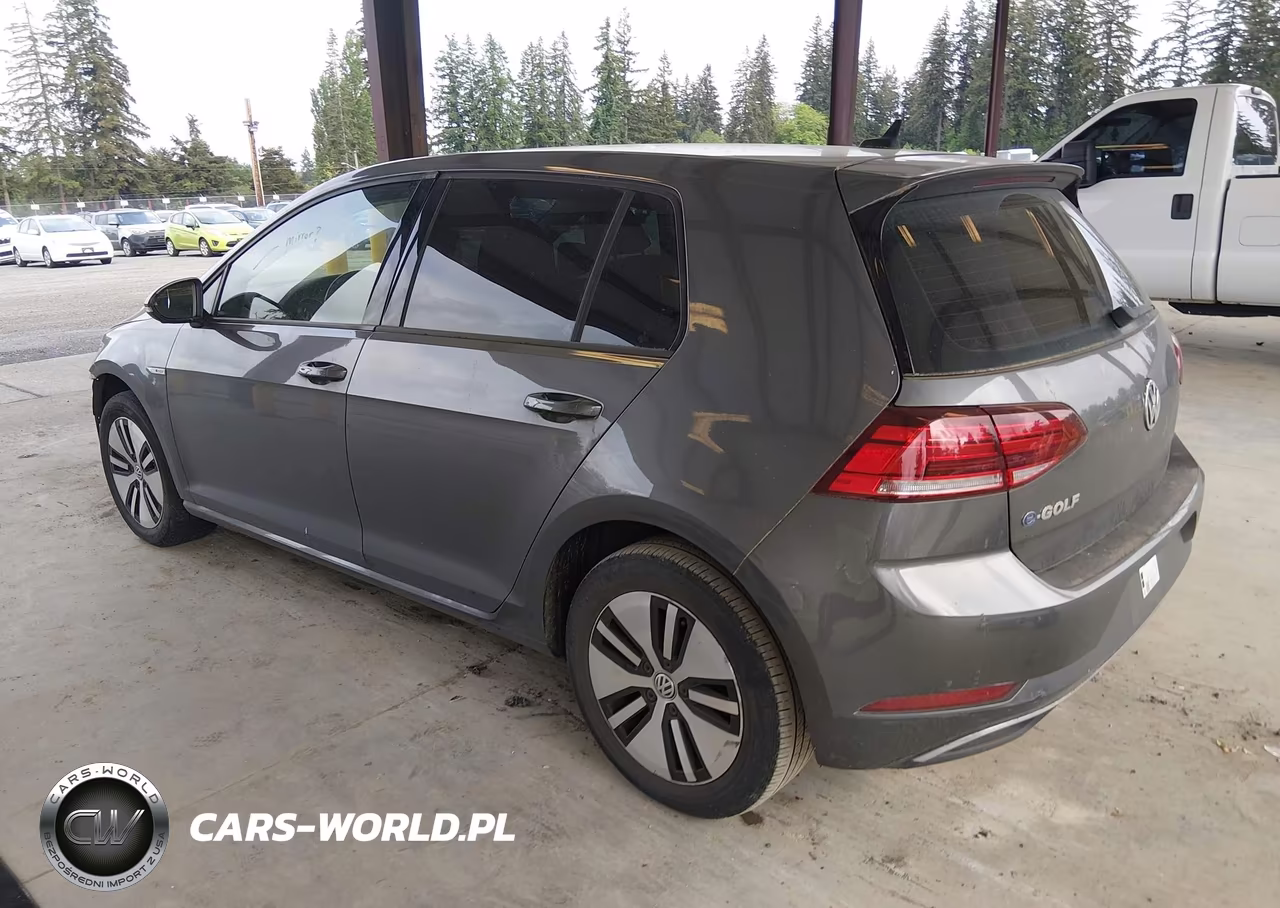 2019 Volkswagen E-Golf Se VIN:WVWKR7AU8KW919236 - 3