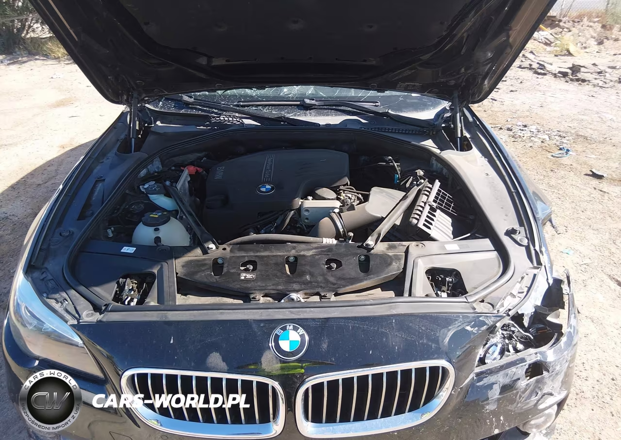 2016 BMW 528I VIN:WBA5A5C51GG354342 - 10