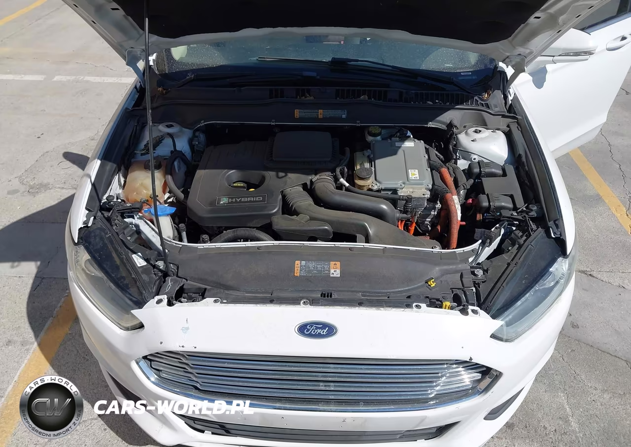 2014 Ford Fusion Hybrid Se VIN:3FA6P0LU1ER319621 - 10