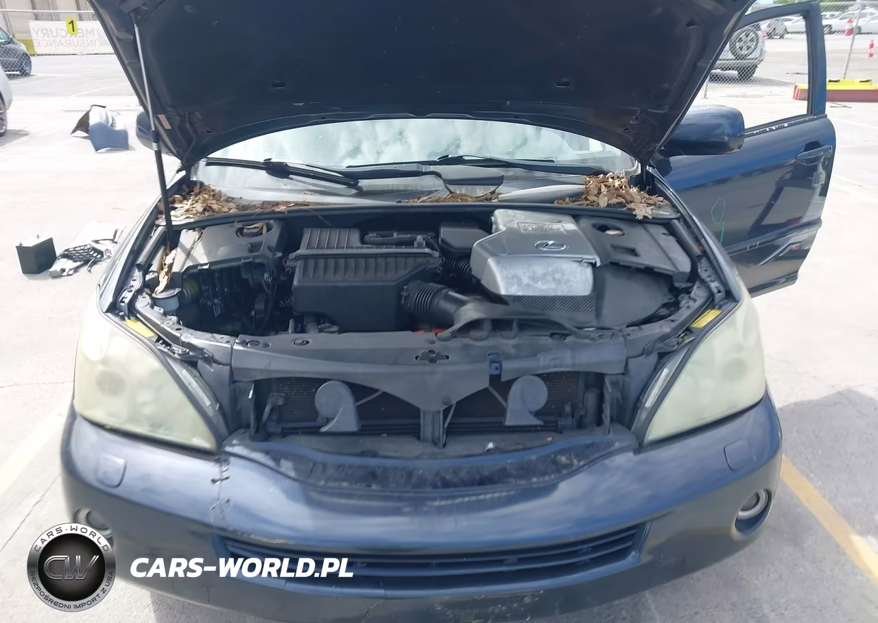 2006 Lexus Rx 400H VIN:JTJHW31U960017244 - 10