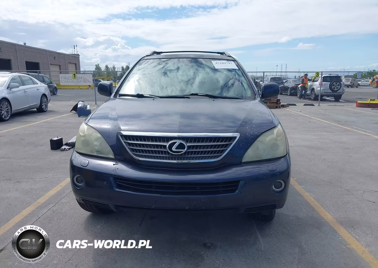 2006 Lexus Rx 400H VIN:JTJHW31U960017244 - 13