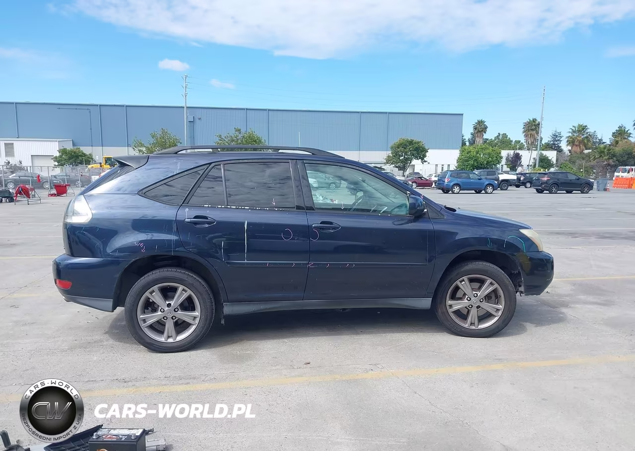 2006 Lexus Rx 400H VIN:JTJHW31U960017244 - 14