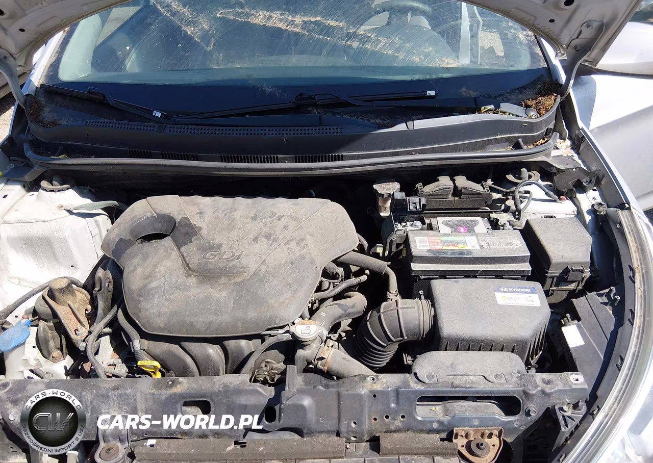 2017 Hyundai Accent Se VIN:KMHCT4AE5HU339066 - 10