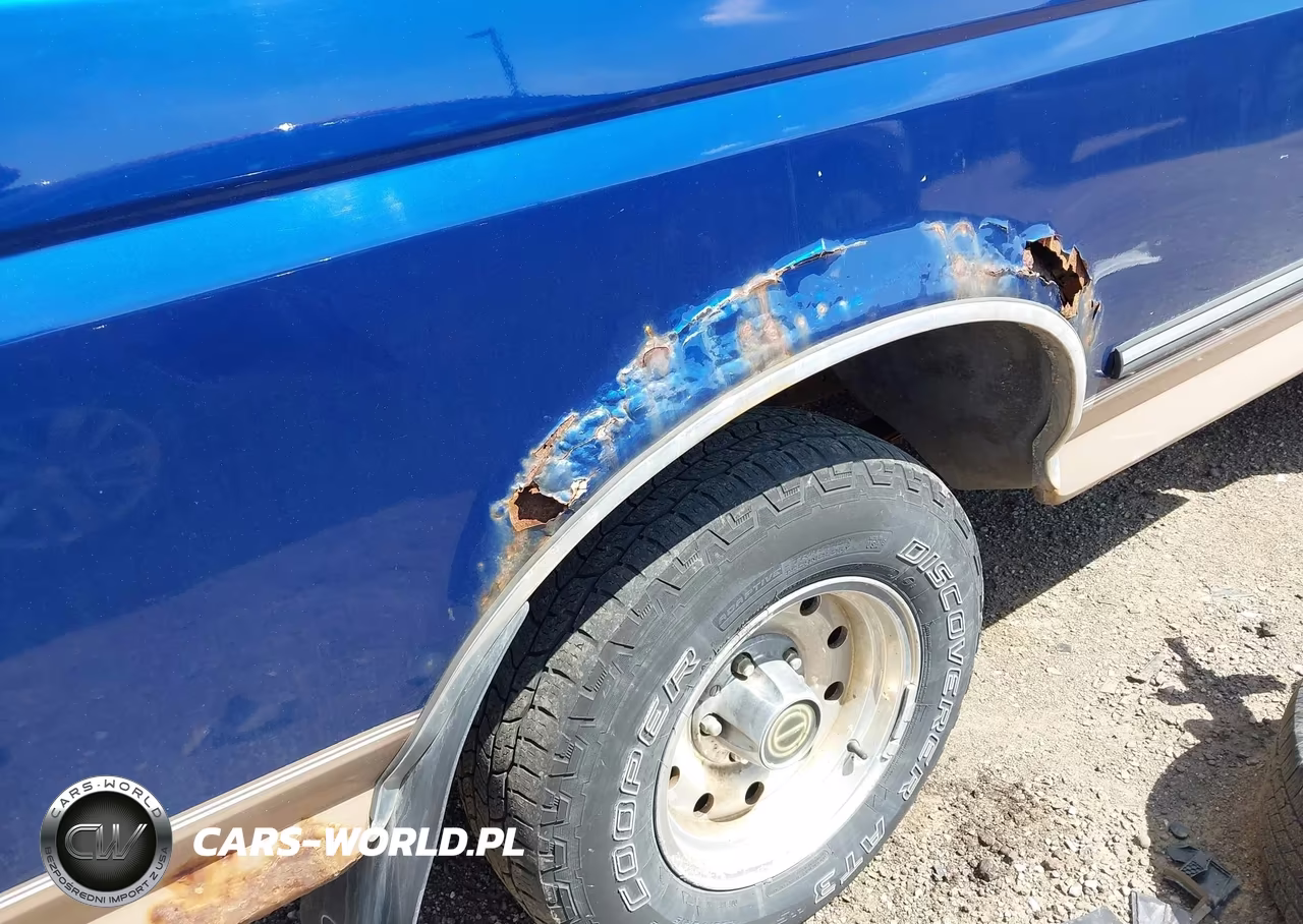 1996 Ford F150 VIN:1FTEF15H3TLA69471 - 13