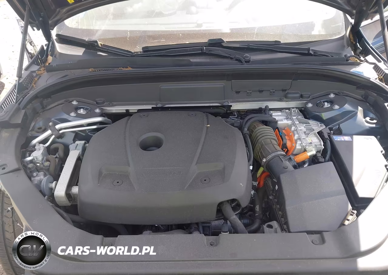 2021 Volvo Xc60 Recharge Plug-In Hybrid T8 Inscription VIN:YV4BR0DL1M1675923 - 10