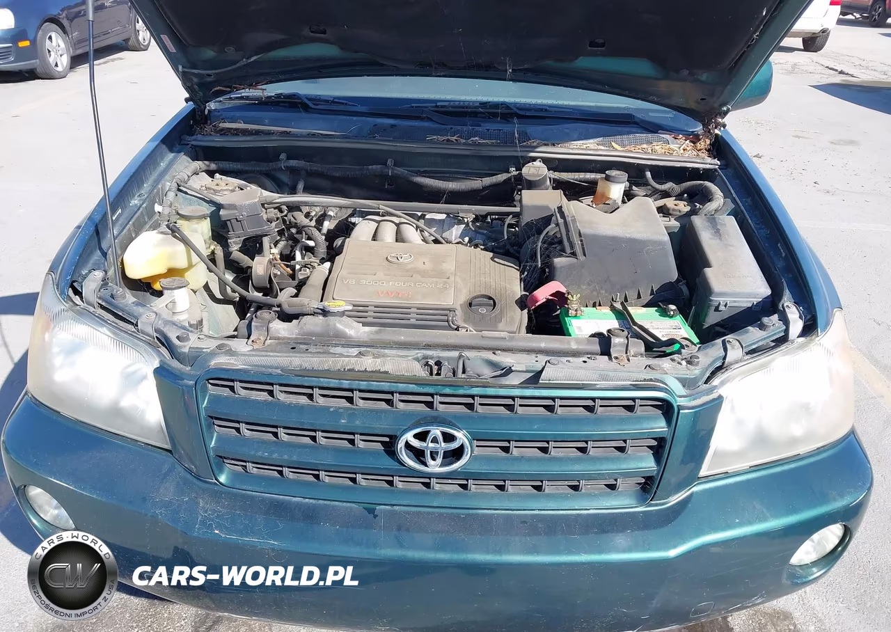 2003 Toyota Highlander Limited V6 VIN:JTEGF21A830110925 - 10