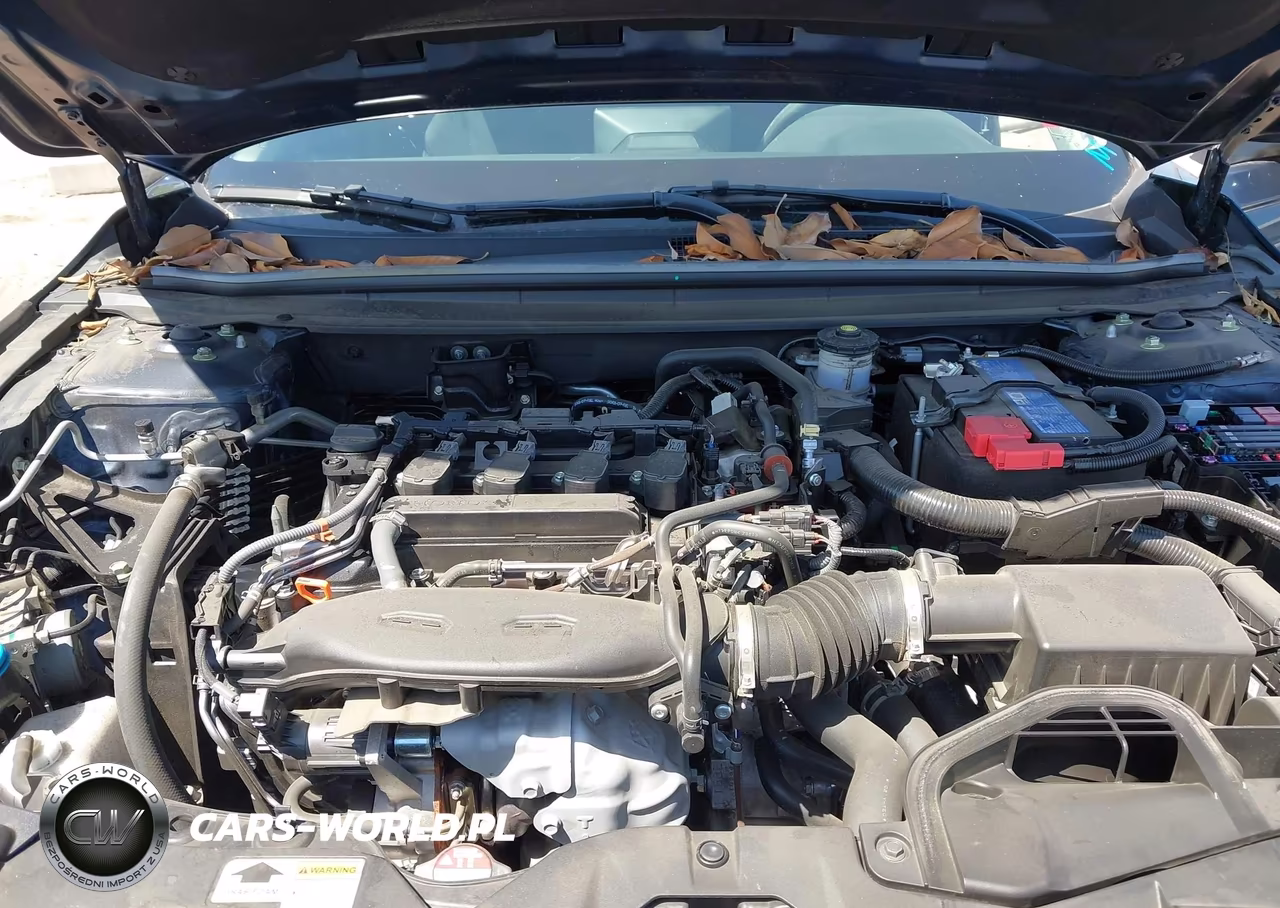 2024 Honda Accord Ex VIN:1HGCY1F33RA013895 - 10