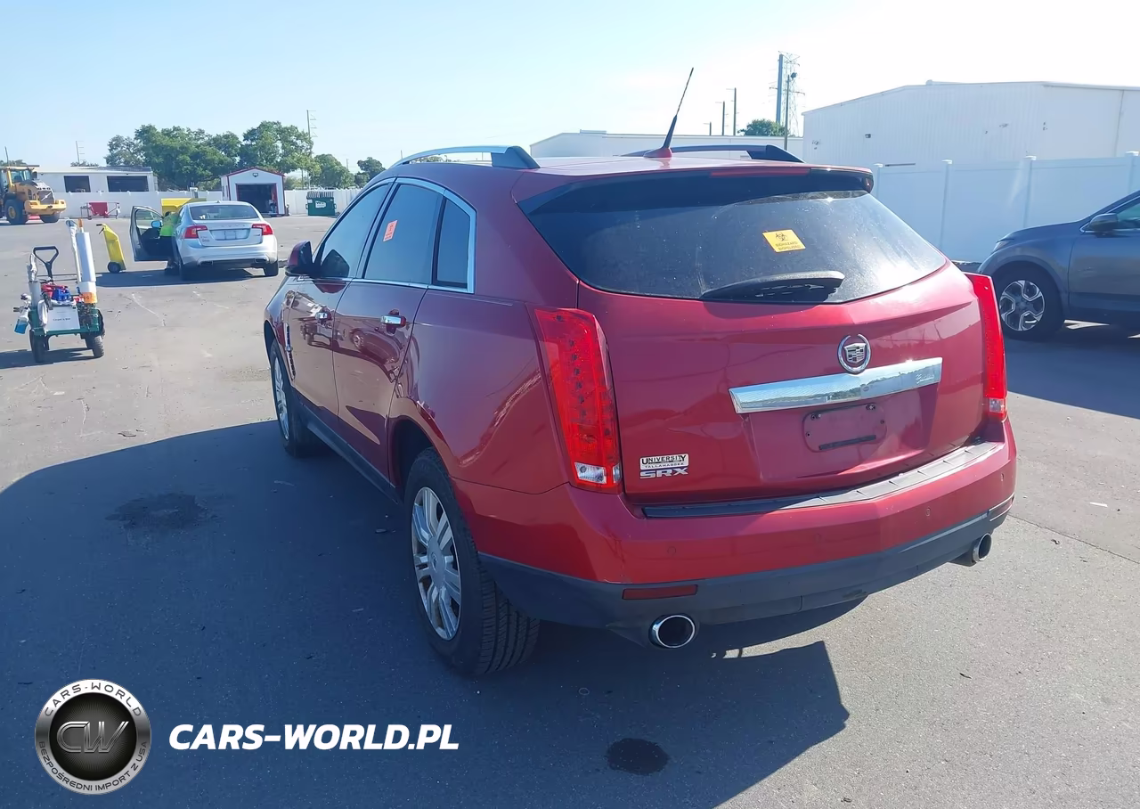 2010 Cadillac Srx Luxury Collection VIN:3GYFNAEY6AS513015 - 3