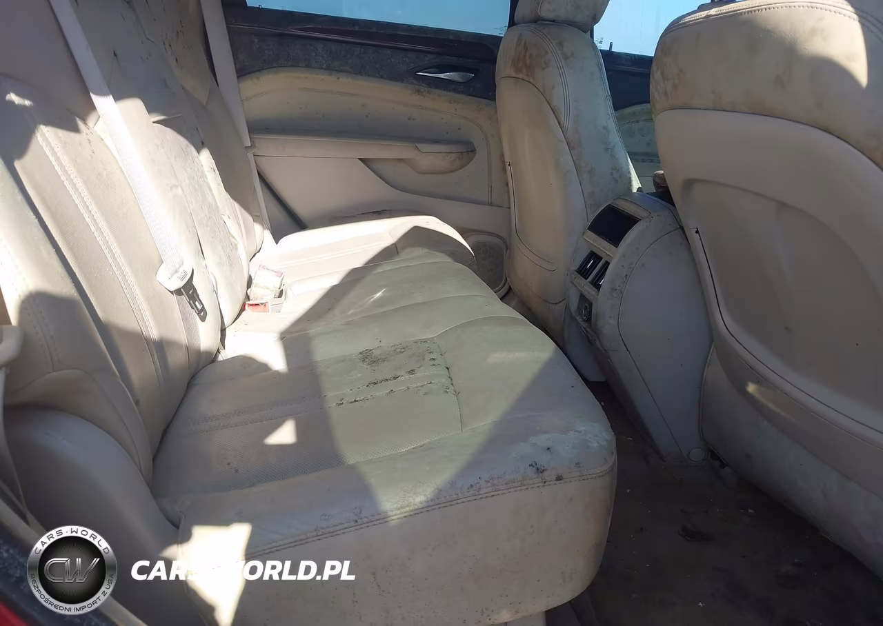 2010 Cadillac Srx Luxury Collection VIN:3GYFNAEY6AS513015 - 8