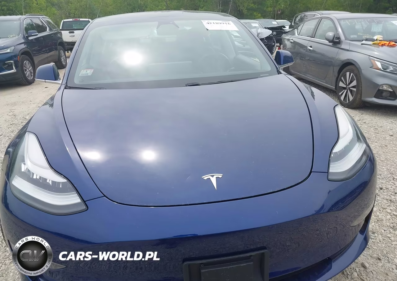 2019 Tesla Model 3 Long Range-Mid Range-Standard Range-Standard Range Plus VIN:5YJ3E1EA5KF400873 - 10