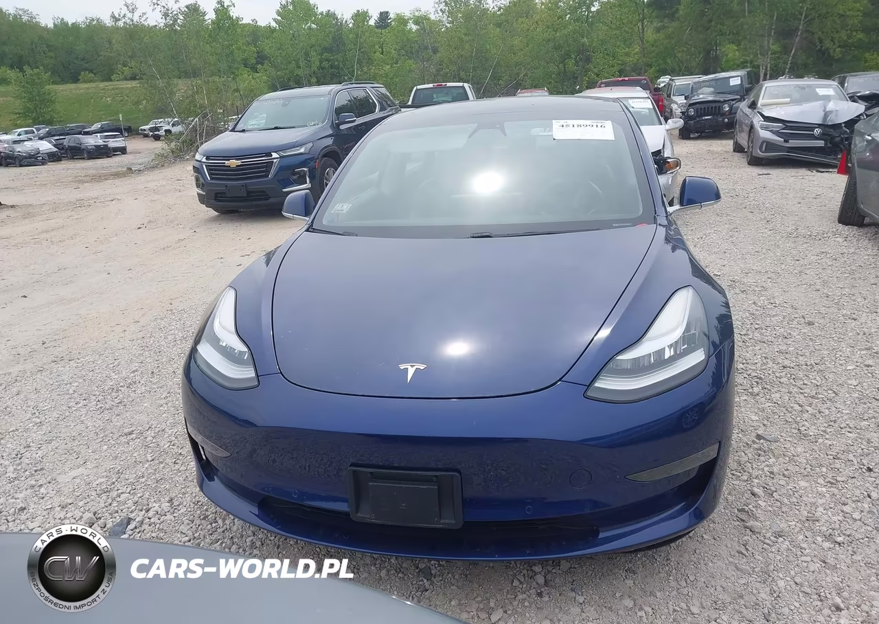 2019 Tesla Model 3 Long Range-Mid Range-Standard Range-Standard Range Plus VIN:5YJ3E1EA5KF400873 - 12