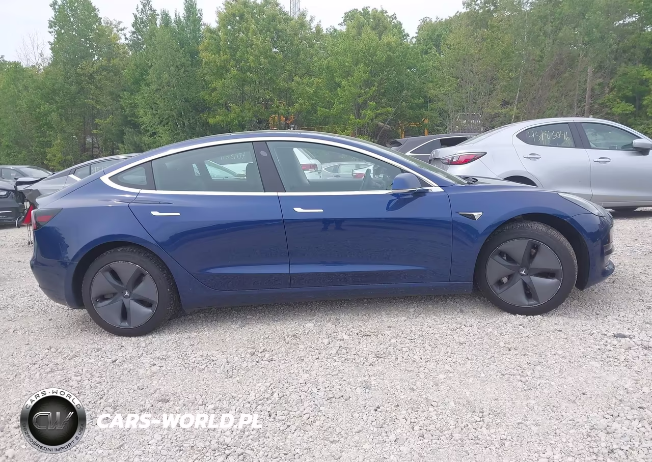 2019 Tesla Model 3 Long Range-Mid Range-Standard Range-Standard Range Plus VIN:5YJ3E1EA5KF400873 - 13