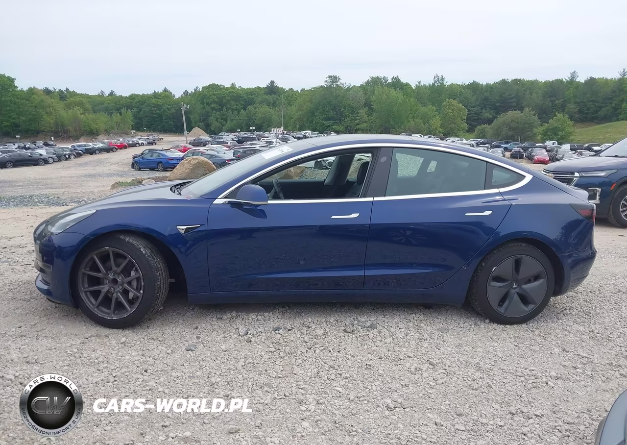 2019 Tesla Model 3 Long Range-Mid Range-Standard Range-Standard Range Plus VIN:5YJ3E1EA5KF400873 - 14