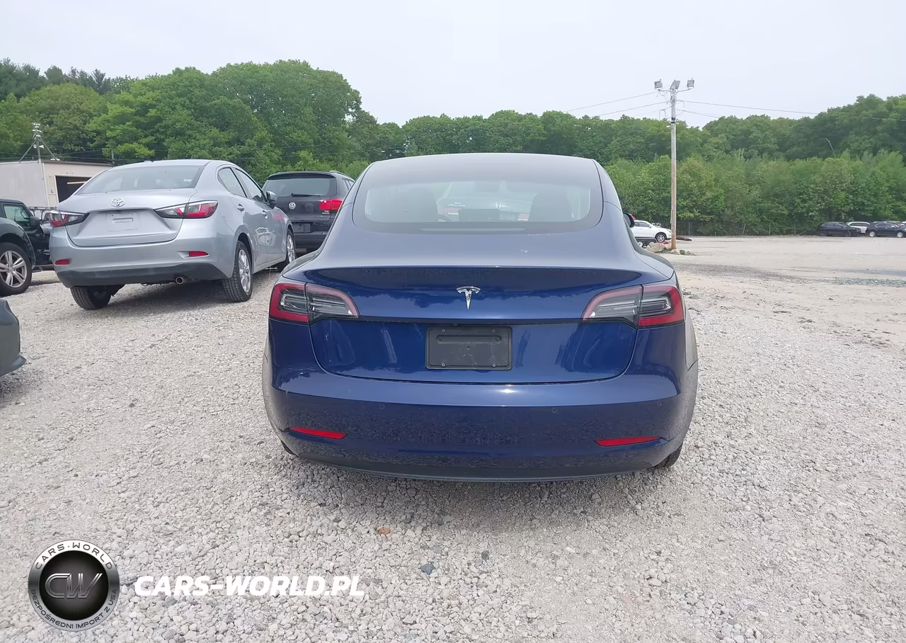 2019 Tesla Model 3 Long Range-Mid Range-Standard Range-Standard Range Plus VIN:5YJ3E1EA5KF400873 - 16
