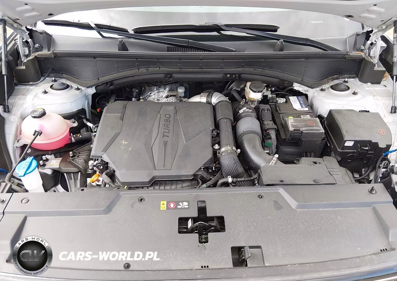 2024 Hyundai Santa Fe Limited VIN:5NMP4DGL2RH057761 - 10