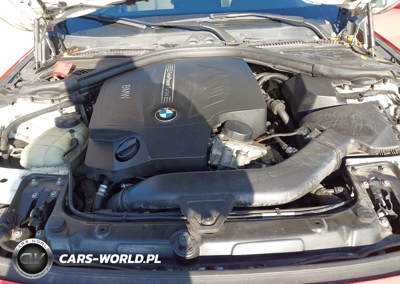 2016 BMW 435I Gran Coupe VIN:WBA4B1C55GG242421 - 10