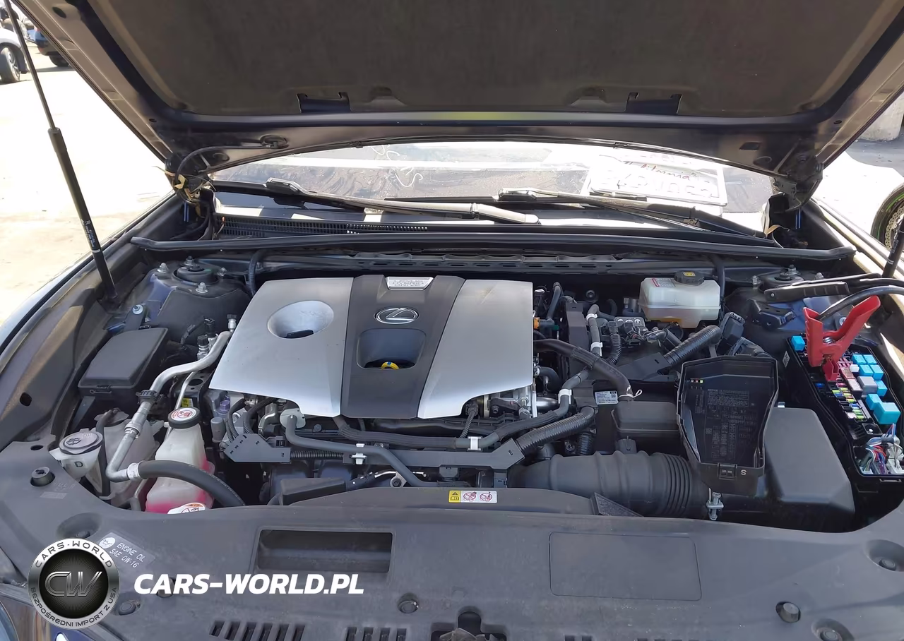 2019 Lexus Es 300H Luxury VIN:JTHB21B10K2038476 - 10