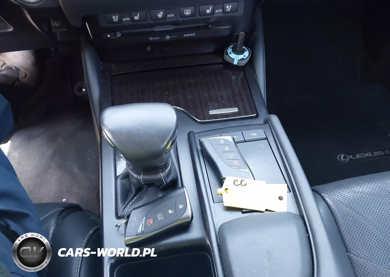 2019 Lexus Es 300H Luxury VIN:JTHB21B10K2038476 - 11