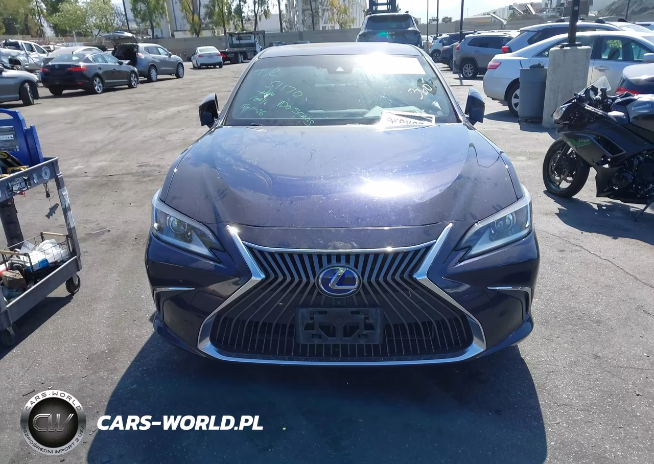 2019 Lexus Es 300H Luxury VIN:JTHB21B10K2038476 - 12