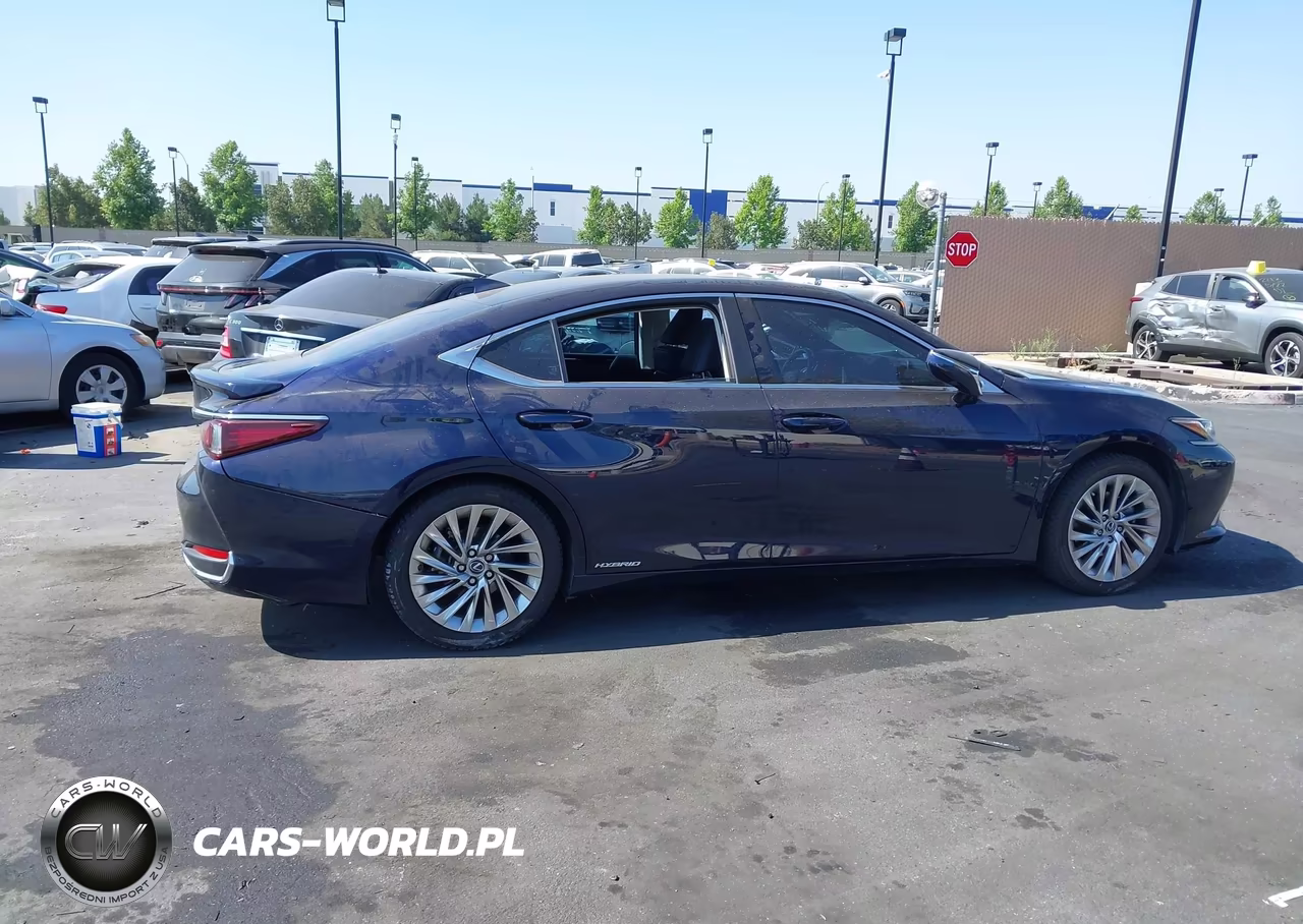 2019 Lexus Es 300H Luxury VIN:JTHB21B10K2038476 - 13