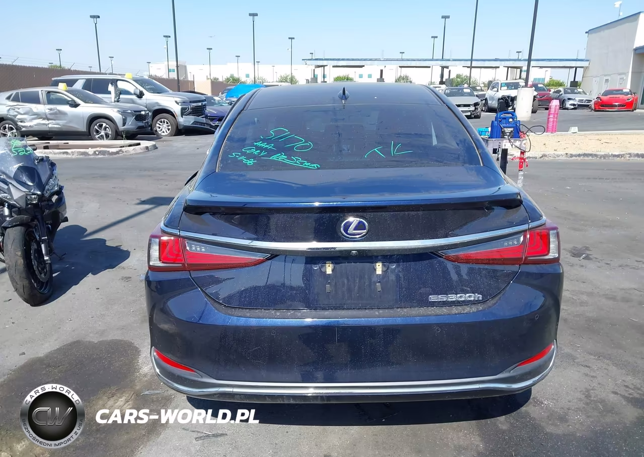 2019 Lexus Es 300H Luxury VIN:JTHB21B10K2038476 - 16