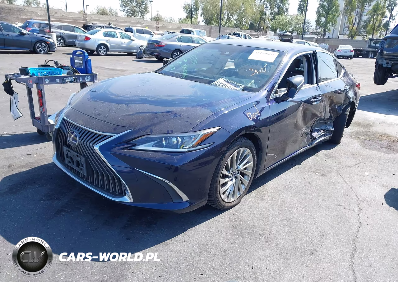 2019 Lexus Es 300H Luxury VIN:JTHB21B10K2038476 - 2