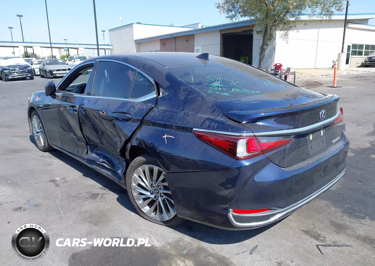 2019 Lexus Es 300H Luxury VIN:JTHB21B10K2038476 - 3