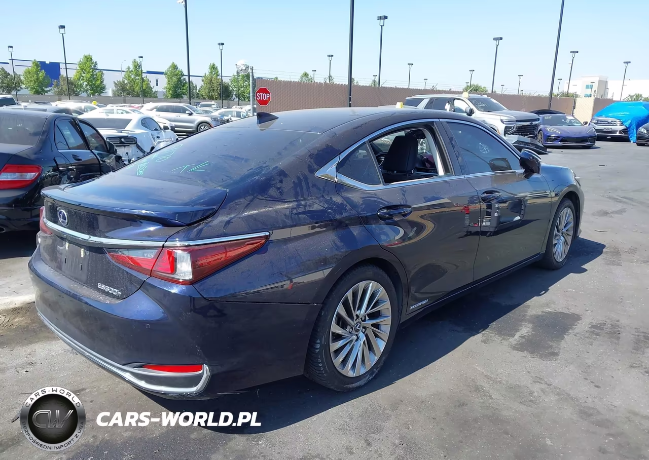 2019 Lexus Es 300H Luxury VIN:JTHB21B10K2038476 - 4