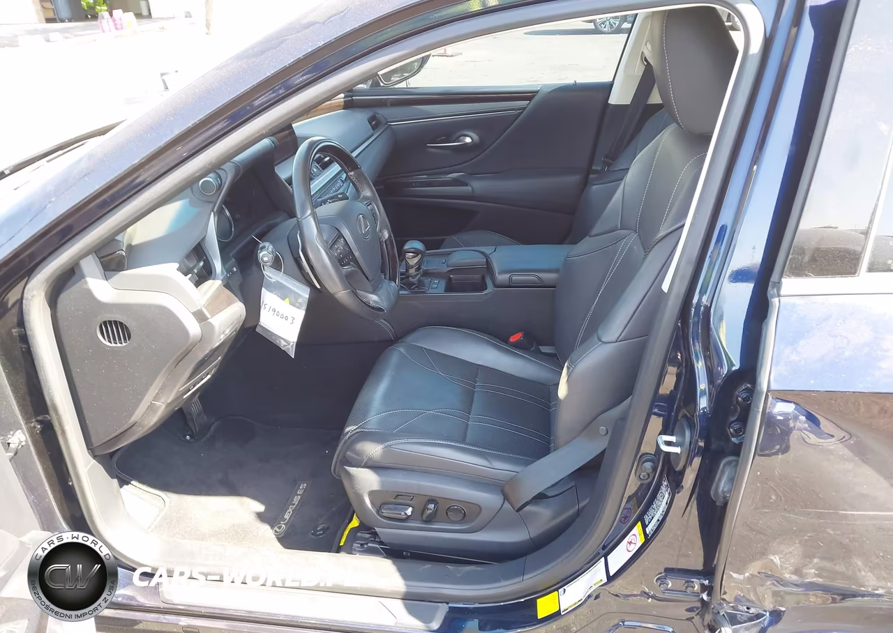 2019 Lexus Es 300H Luxury VIN:JTHB21B10K2038476 - 5