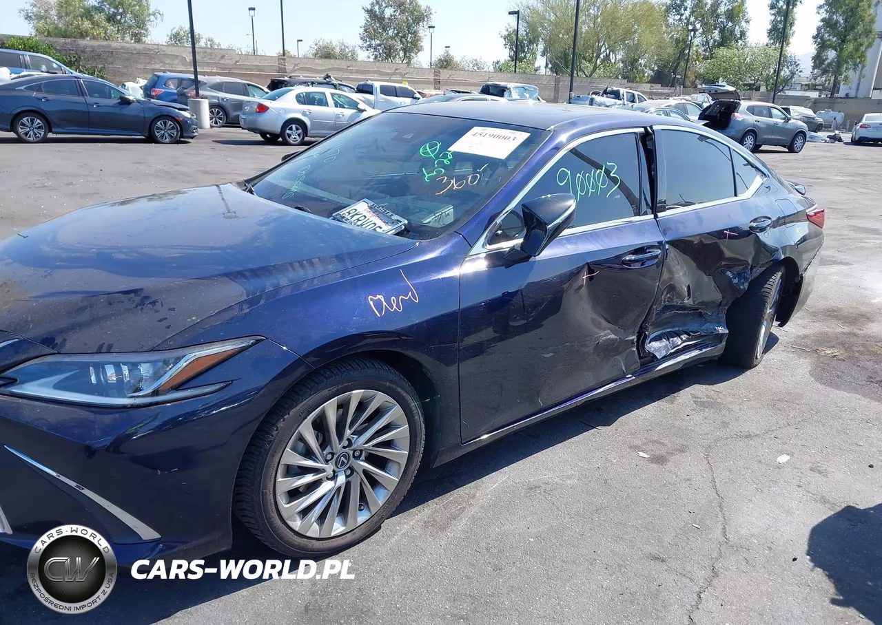 2019 Lexus Es 300H Luxury VIN:JTHB21B10K2038476 - 6