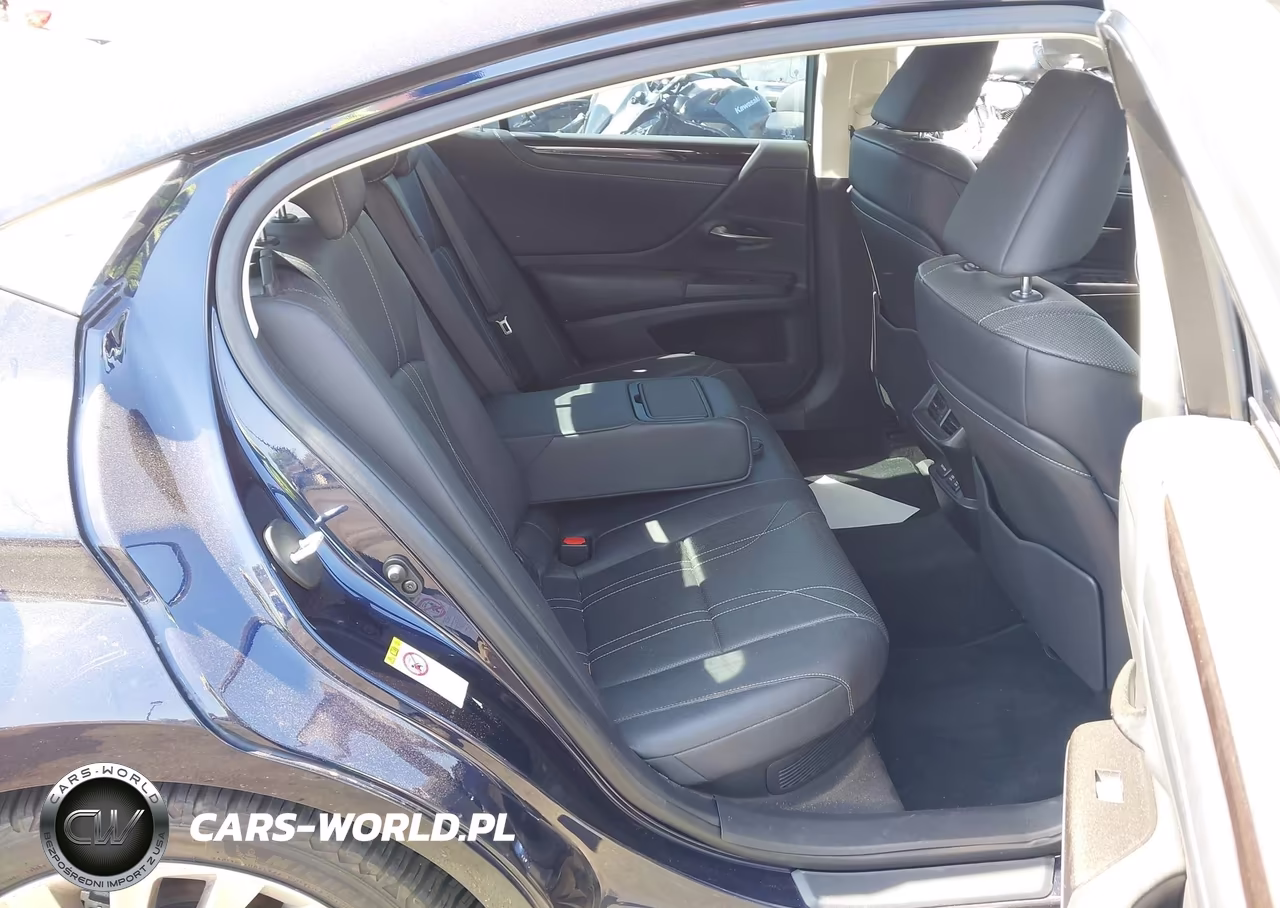 2019 Lexus Es 300H Luxury VIN:JTHB21B10K2038476 - 8