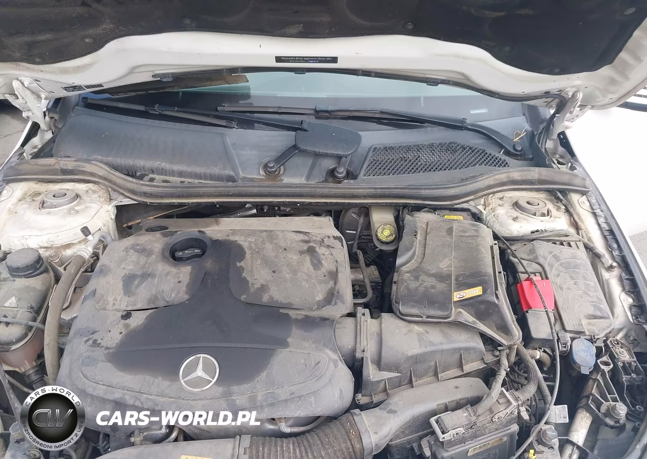2016 Mercedes-Benz Cla 250 VIN:WDDSJ4EB4GN376422 - 10