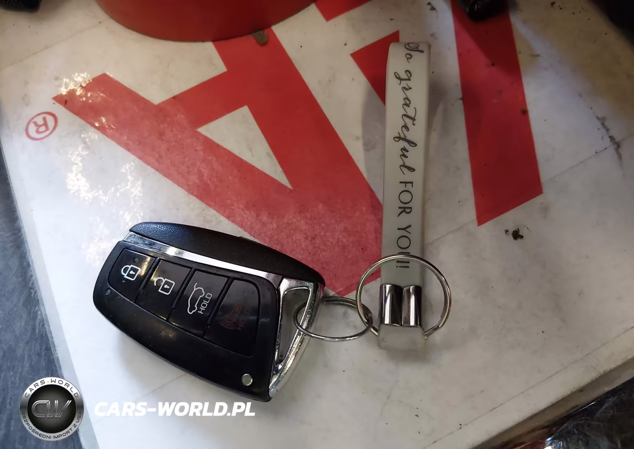 2018 Hyundai Santa Fe Se Ultimate VIN:KM8SRDHFXJU278070 - 11