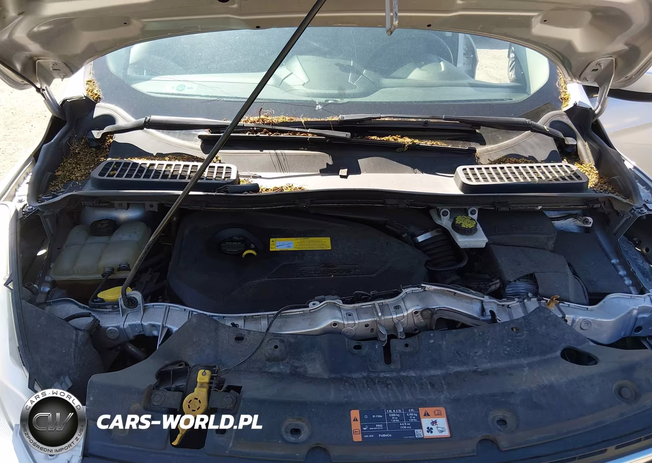 2015 Ford Escape Se VIN:1FMCU9GX3FUC37099 - 10