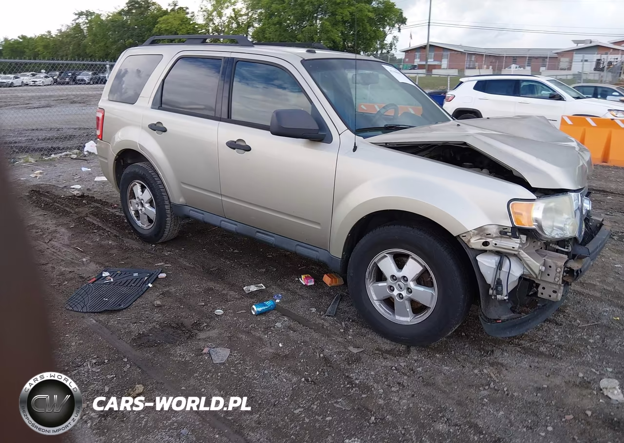 2010 Ford Escape Xlt
